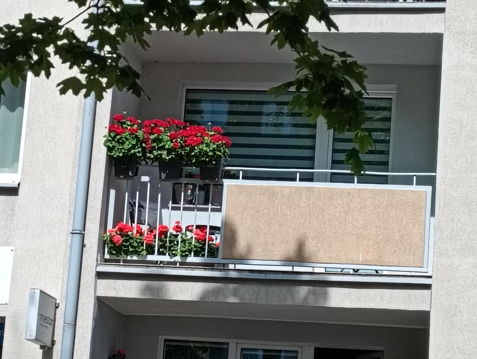 Apartament Ale Laba Kolobrzeg Dış mekan fotoğraf