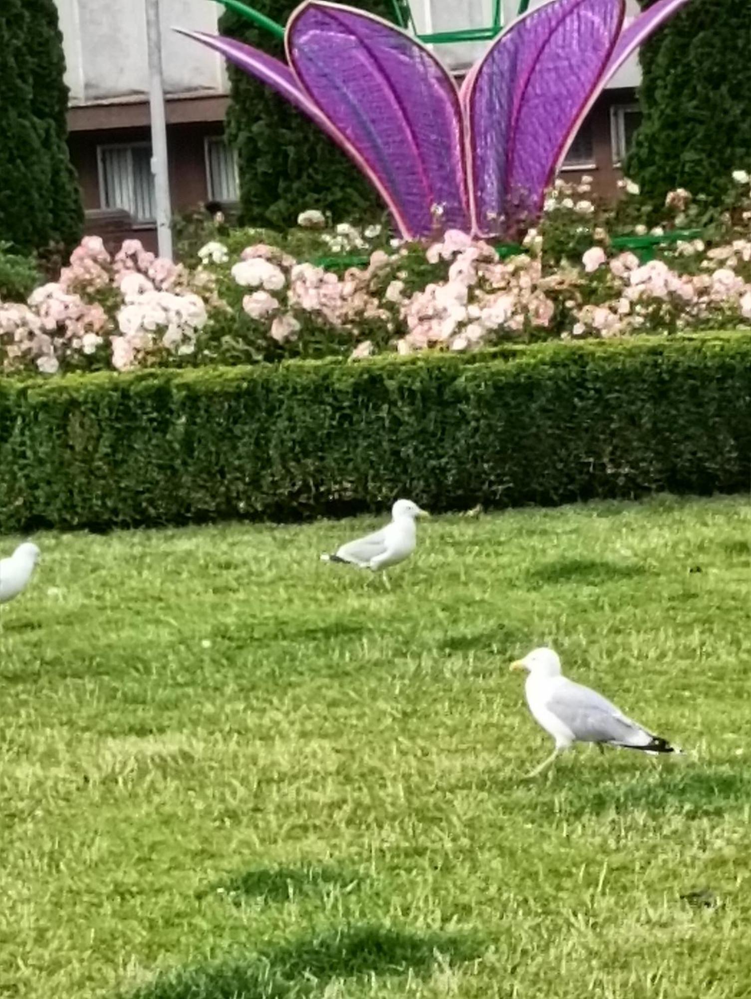 Apartament Ale Laba Kolobrzeg Dış mekan fotoğraf