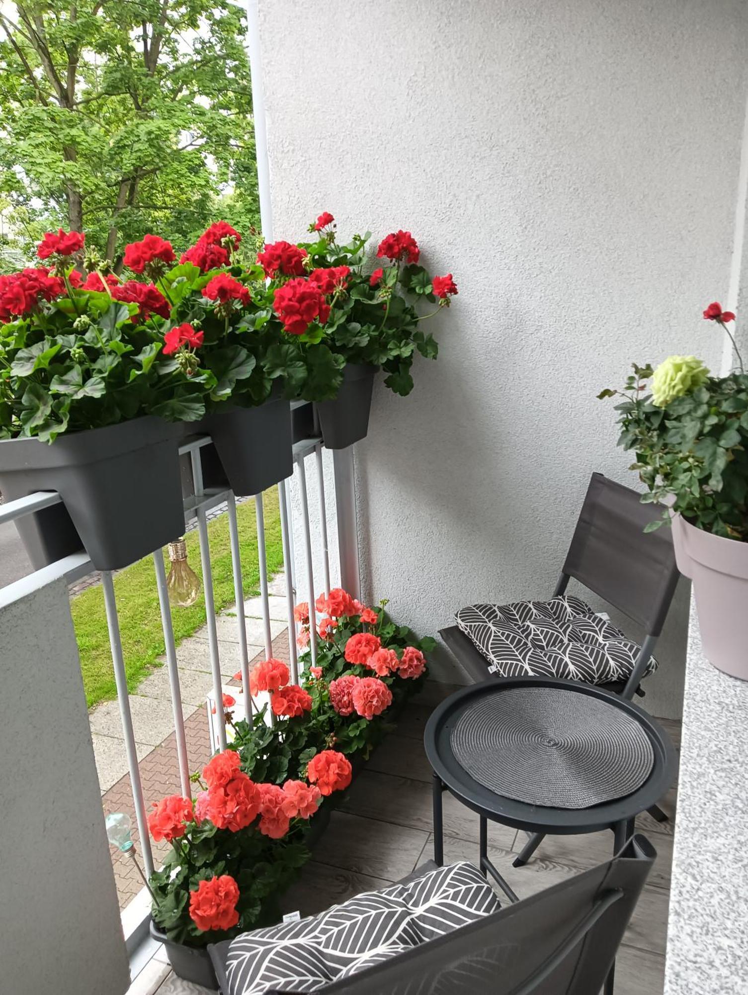 Apartament Ale Laba Kolobrzeg Dış mekan fotoğraf